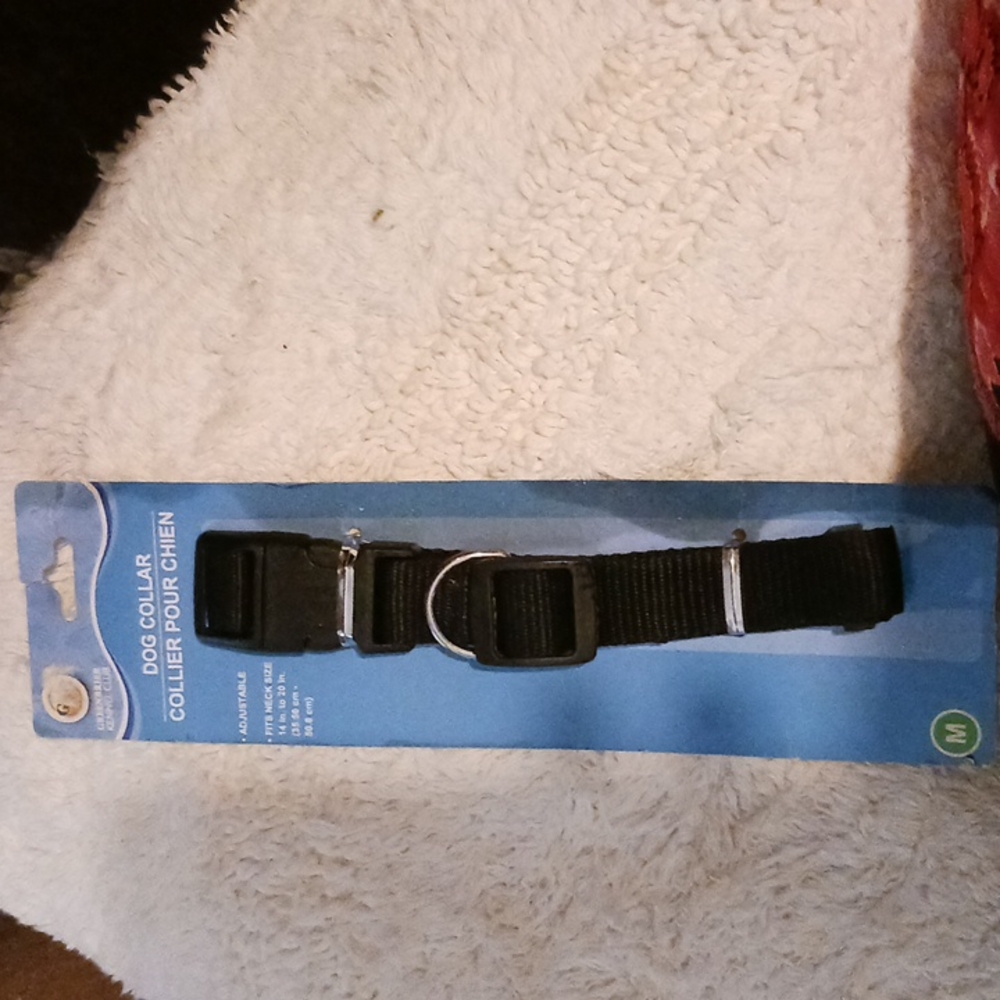 Dog  🐕 Collar package messed up but product isnt. And a Harness.